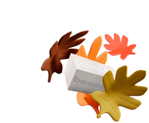 Bonolit | Poritep | ISTKULT