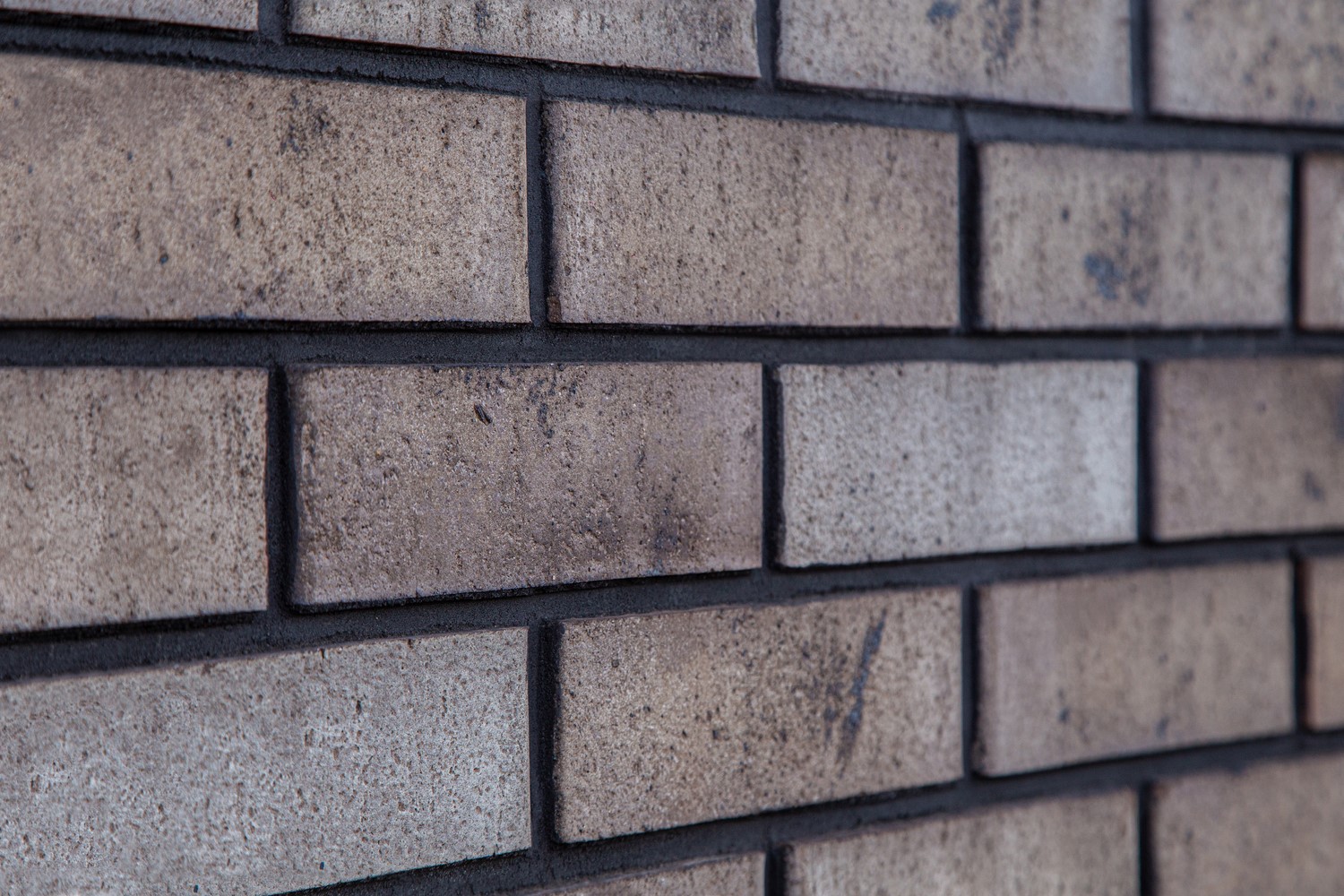 thumb__________________________8