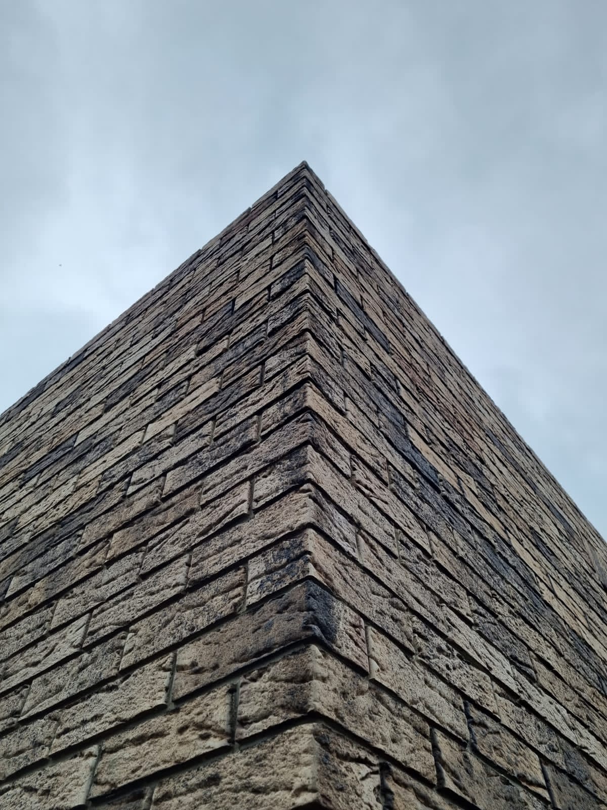 thumb____________________________0_73_NF