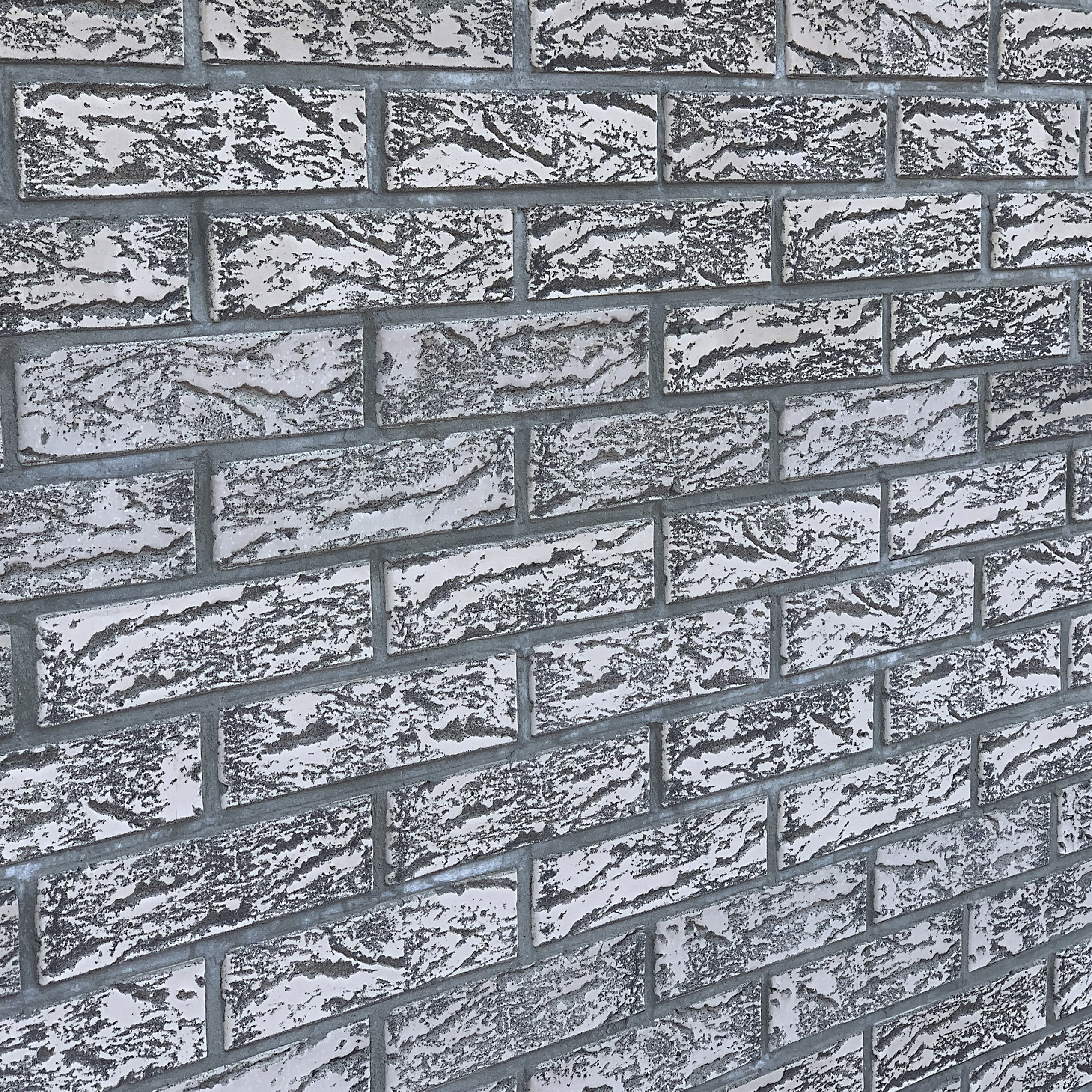 thumb_26_AKATSIA_____________2