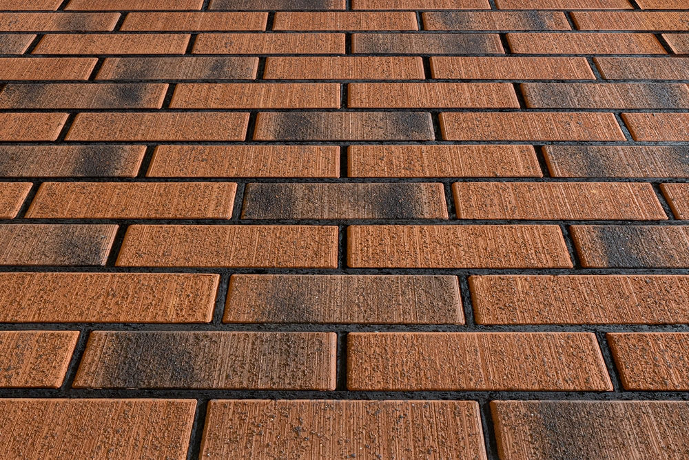 thumb__________1________________________________________________-__________1