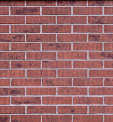  Дионис |  250*85*65 мм |  стандартная стенка