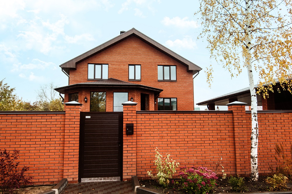 thumb__DSC8246___________