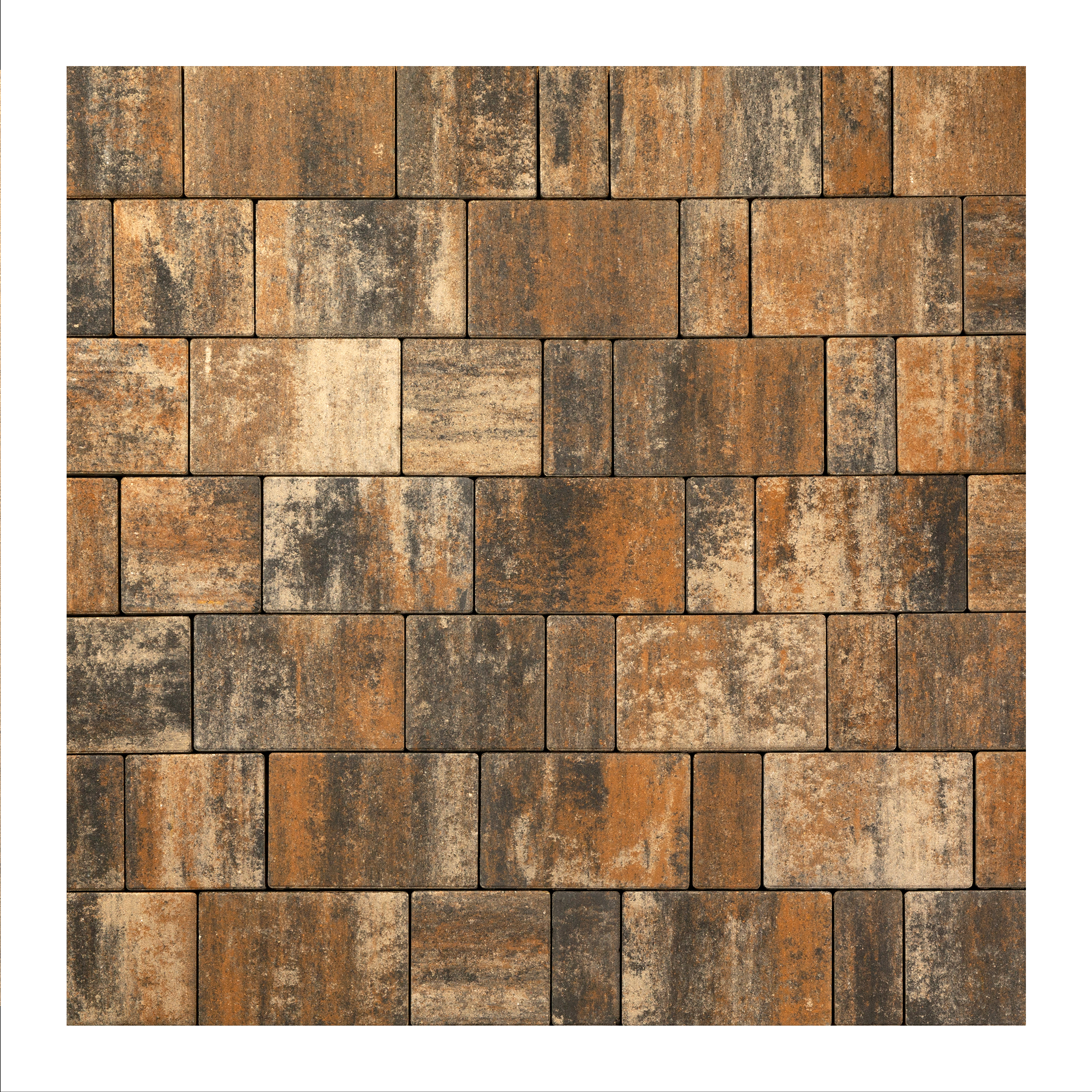 wksk8xbhxtqifuh2cvqrv7b916k67202