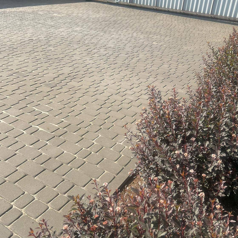 1nkl5f-seraya-800x800