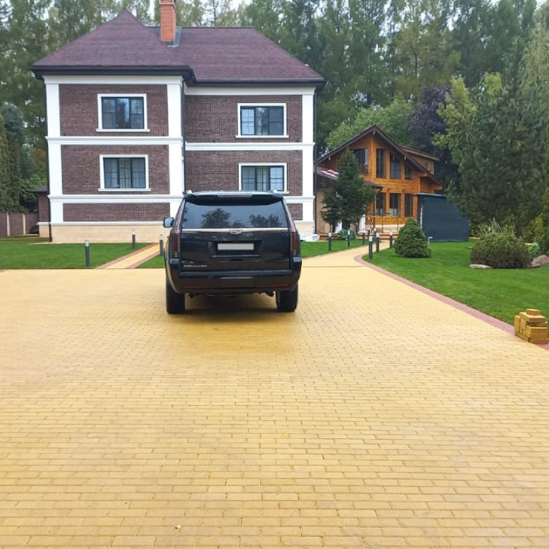 2p4f-zheltaya-800x800