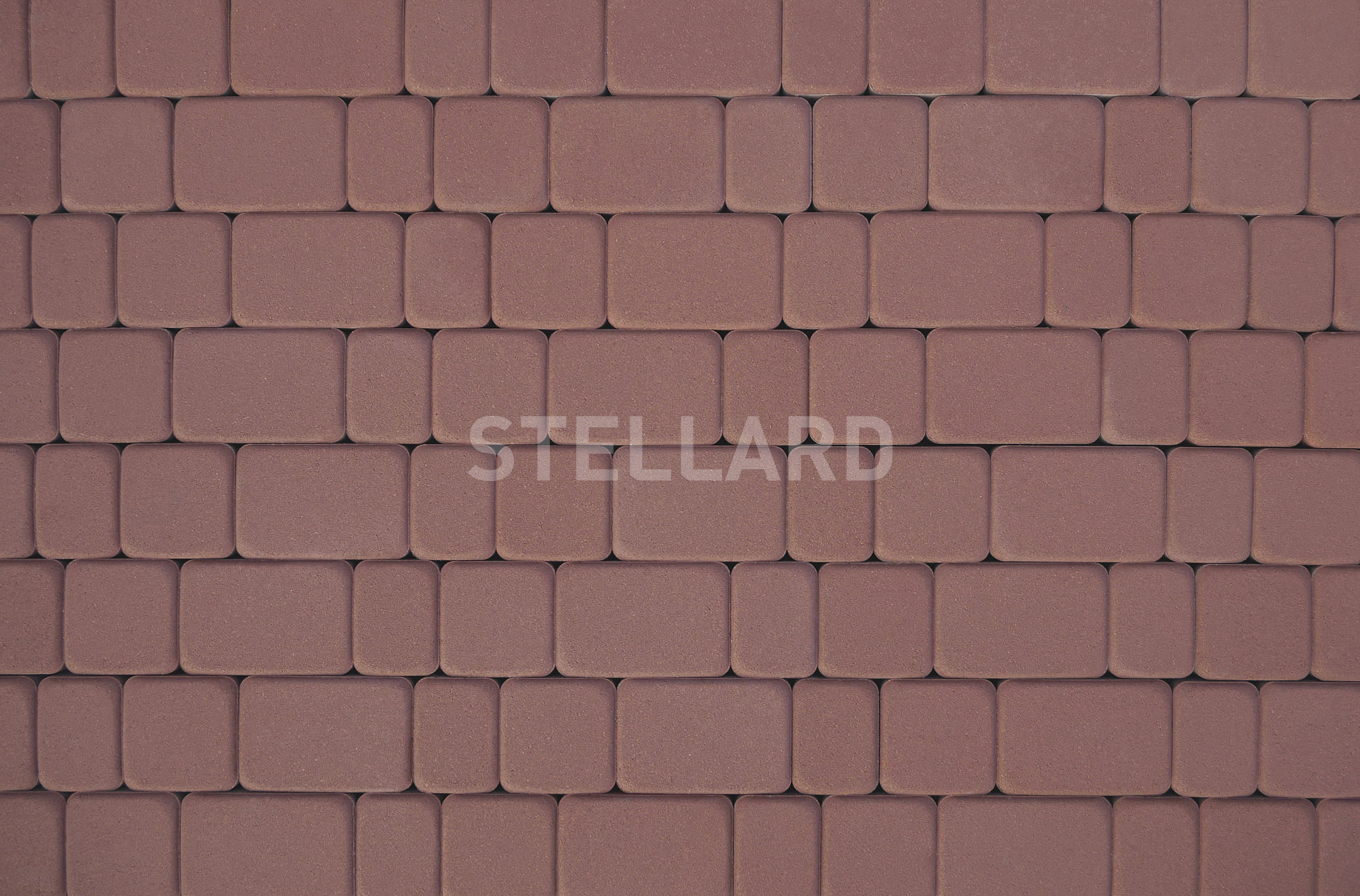 cl17jgxiv0xxxcecev84pm3de4mnyue5