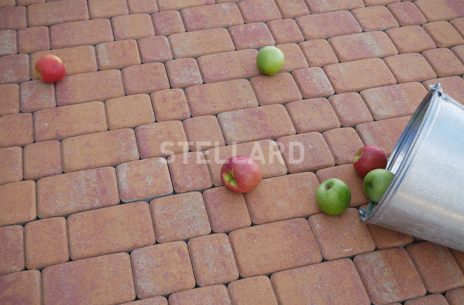 q2z93cfgmg32l2kt2m16ahf4rgm5w63k