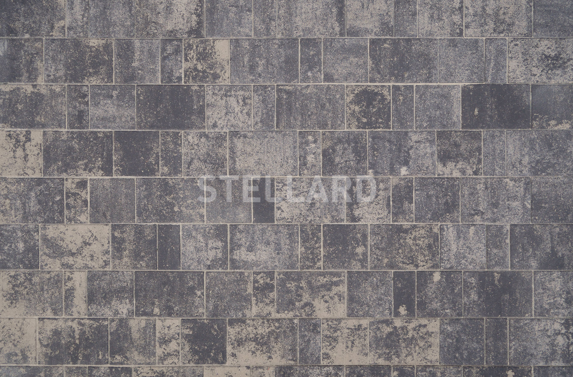 w8yecvfp80x07mfe11d7ln20hvv8fs38