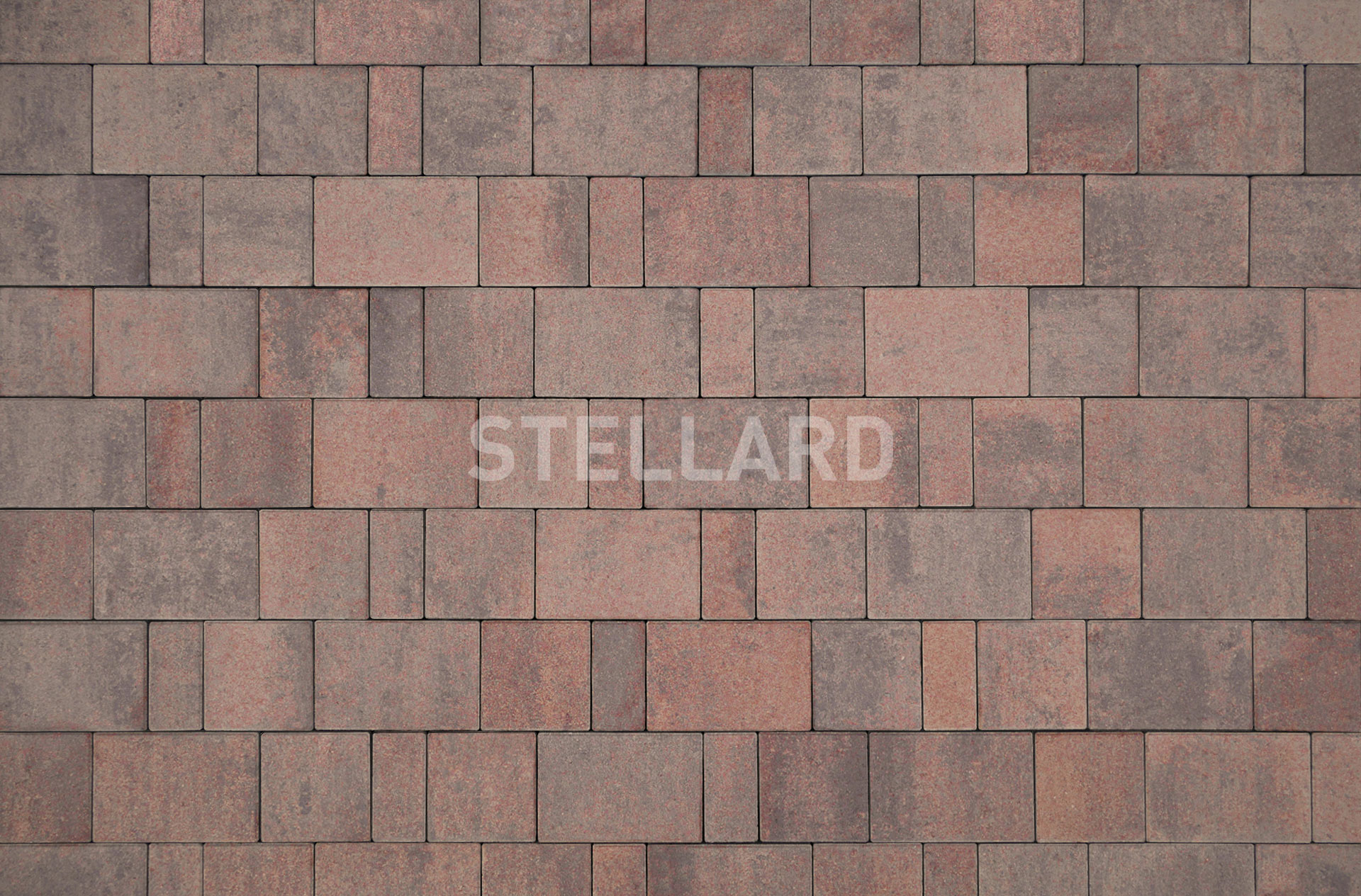 wa5ybq4q6xrvqjvj26cyaexu8pxk1rps